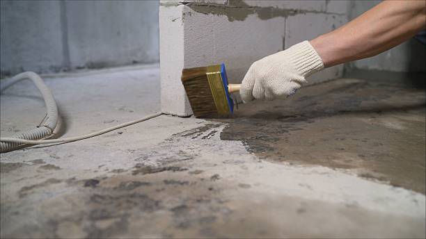 24/7 Emergency Crawl Space Encapsulation experts in Bridgeport, IL
